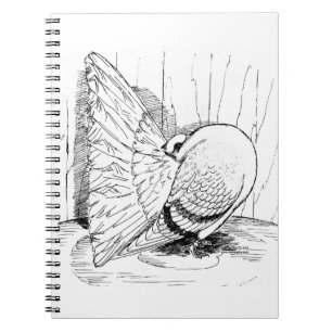 Cuaderno Saddle Fantail 1978