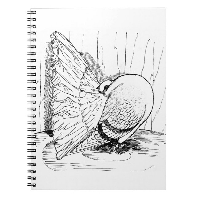 Cuaderno Saddle Fantail 1978 (Frente)
