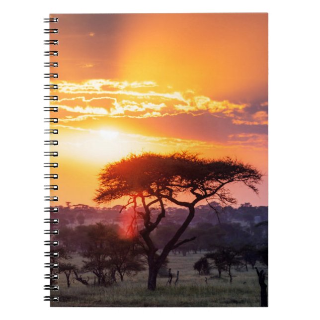 Cuaderno Safari en el Parque Nacional Serengeti (Frente)