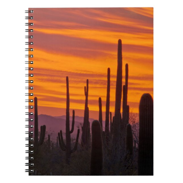 Cuaderno Saguaro, puesta de sol, Parque Nacional Saguaro (Frente)