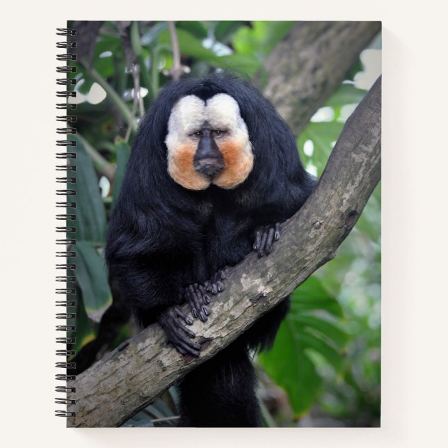 Cuaderno Saki (Anverso)