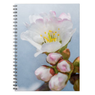 Cuaderno Sakura Blossom