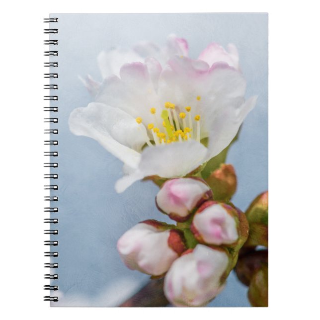 Cuaderno Sakura Blossom (Frente)