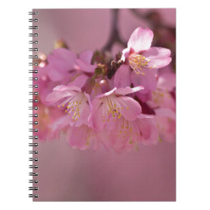 Cuaderno Sakura cerezo florecimiento Delicado Bouquet Rosa