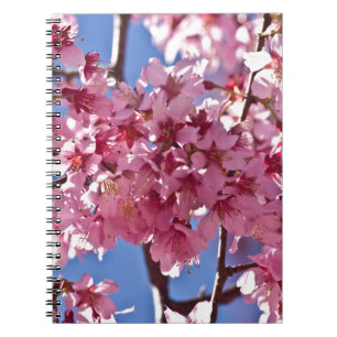 Cuaderno Sakura cerezos florecen estrellas rojas