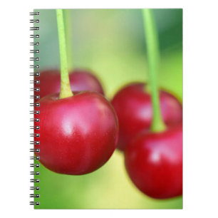 Cuaderno Sakura Cherries Deliciosas Frutas Vegetarias Veget