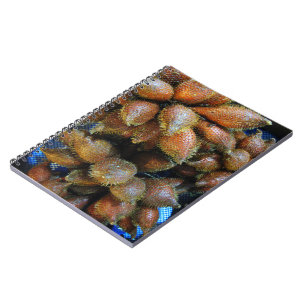 Cuaderno Salak [Fruta de la serpiente]