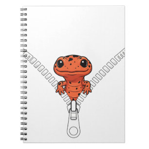 Cuaderno Salamandra Divertida Echa Un Vistazo 