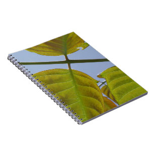 Cuaderno Sale del bloc de notas