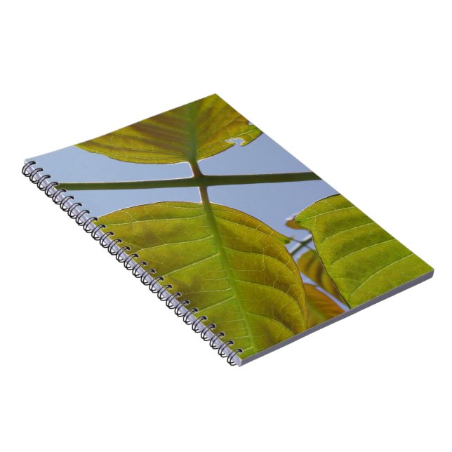 Cuaderno Sale del bloc de notas (Lado Derecho)