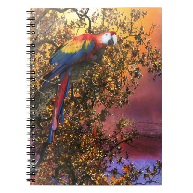 CUADERNO SALIDA DE BOSQUES DE MACAW PARROT (Frente)