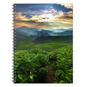 Cuaderno Salida del sol sobre granja del té