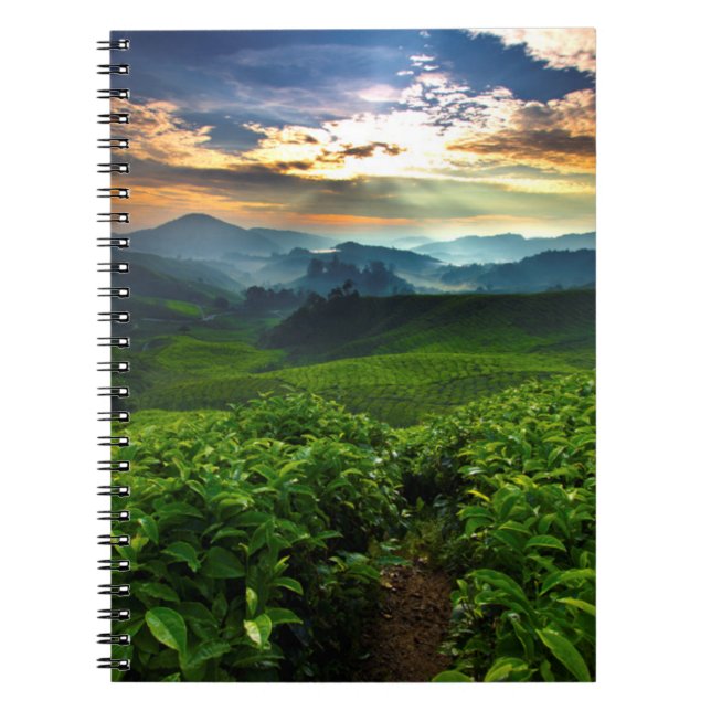 Cuaderno Salida del sol sobre granja del té (Frente)