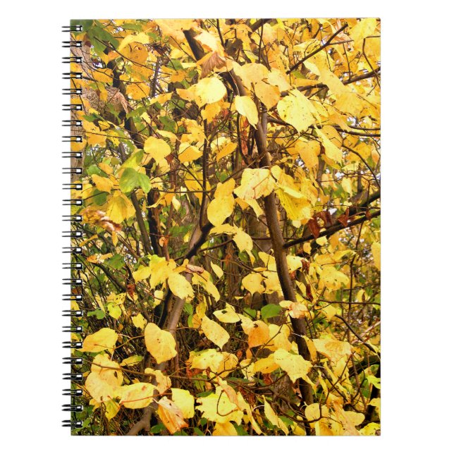 CUADERNO SALIDAS DE OTOÑO AMARILLO (Frente)