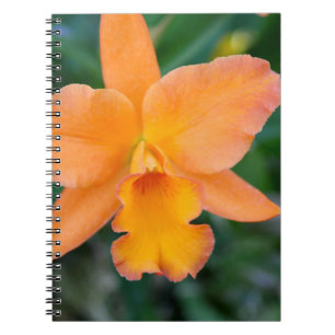 Cuaderno Salmon Orchid