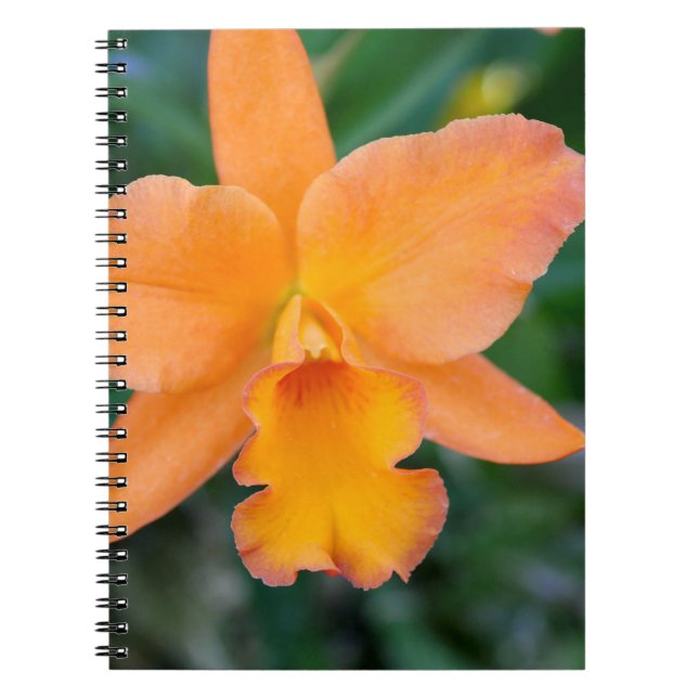 Cuaderno Salmon Orchid (Frente)