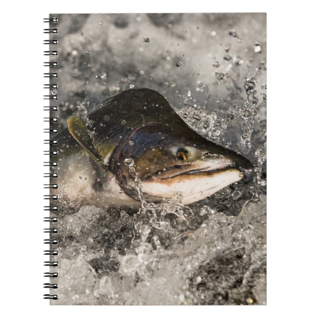 Cuaderno Saltando Salmon (Frente)