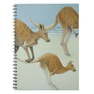 Cuaderno Salto a continuación