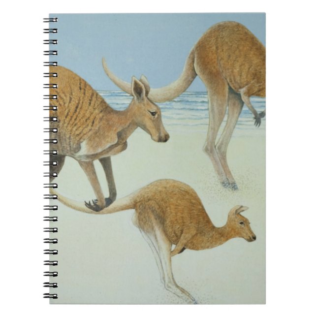 Cuaderno Salto a continuación (Frente)