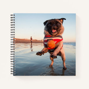 Cuaderno Salto de juego de Pug en la playa
