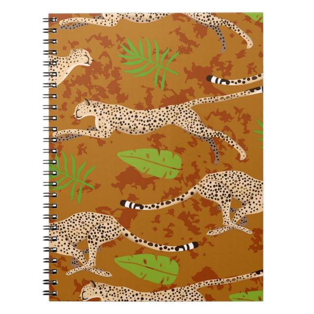 Cuaderno Saltos de chitas: la vieja gráfica sin problemas (Frente)
