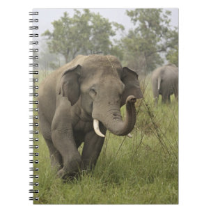 Cuaderno Saludo de elefante asiático indio