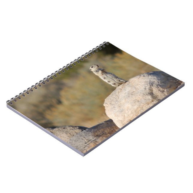 Cuaderno Saludos cordiales (Lado Izquierdo)