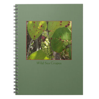 Cuaderno salvaje de las uvas del mar de la Florida
