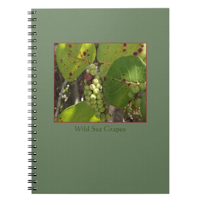 Cuaderno salvaje de las uvas del mar de la Florida (Frente)