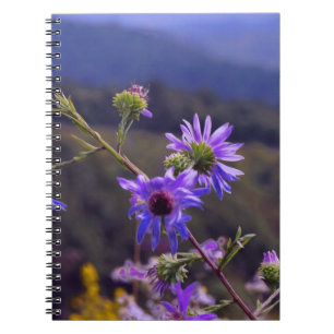 Cuaderno salvaje de los asteres