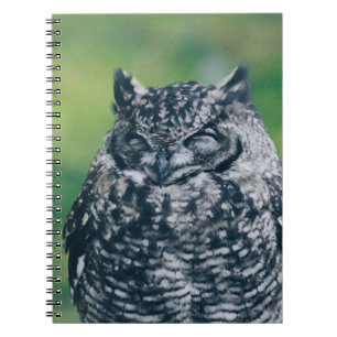 CUADERNO SALVAJE EN BOSQUE FRANCÉS