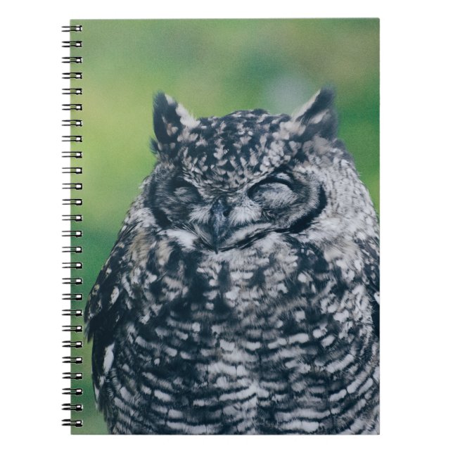 CUADERNO SALVAJE EN BOSQUE FRANCÉS (Frente)