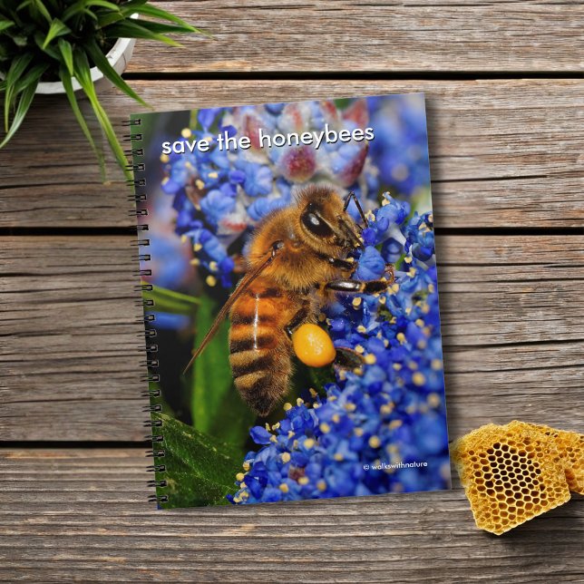 Cuaderno Salven a las abejas que polinizan a California Lil (Honeybee Pollinating the California Lilac Journal Cover Photo)