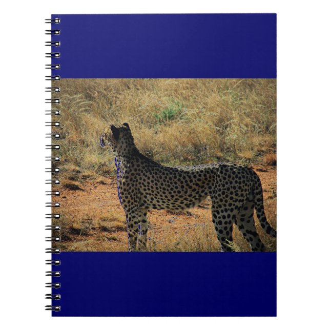 Cuaderno Samburu Cheetah (Frente)