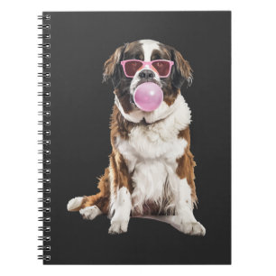 Cuaderno San Bernardo