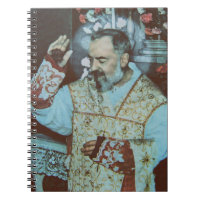 San Padre Pío de Pietrelcina El Sacerdote Seráfico