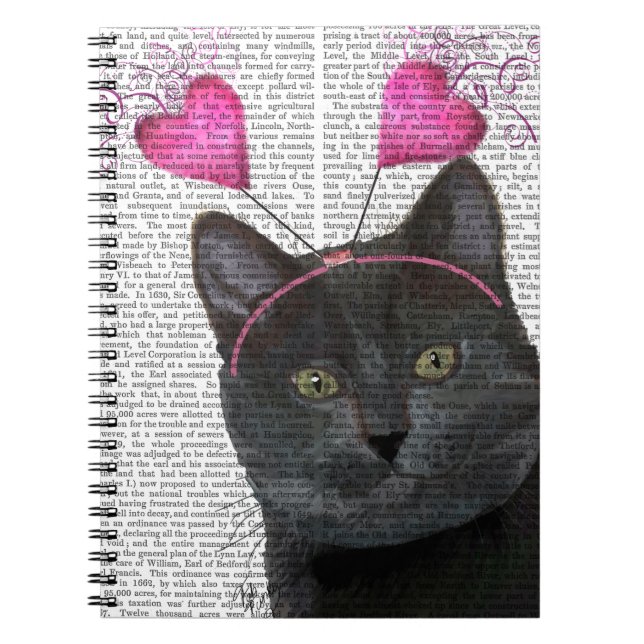 Cuaderno San Valentín de gato negro (Frente)