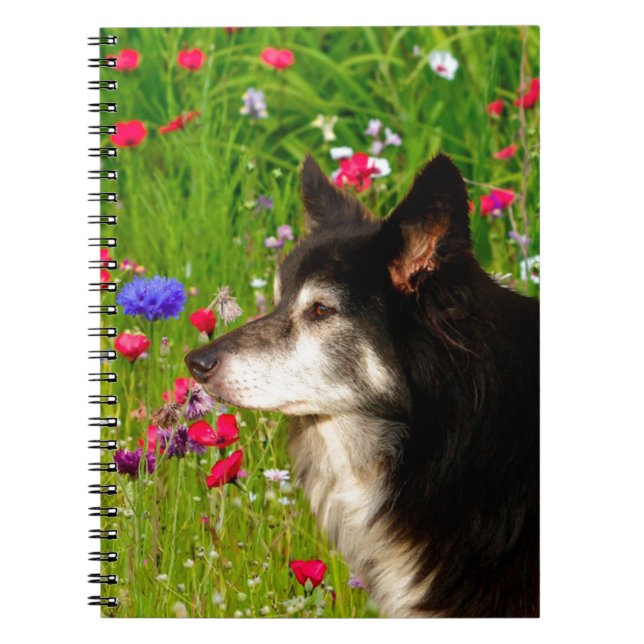 Cuaderno San Valentín Fronterizo con flores hermosas (Frente)