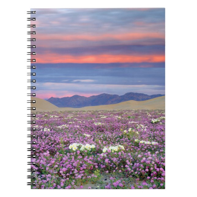 Cuaderno Sand Verbena y Dune Primrose Wildflowers at Sunset (Frente)