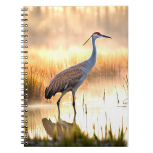 Cuaderno Sandhill Crane En Los Humedales