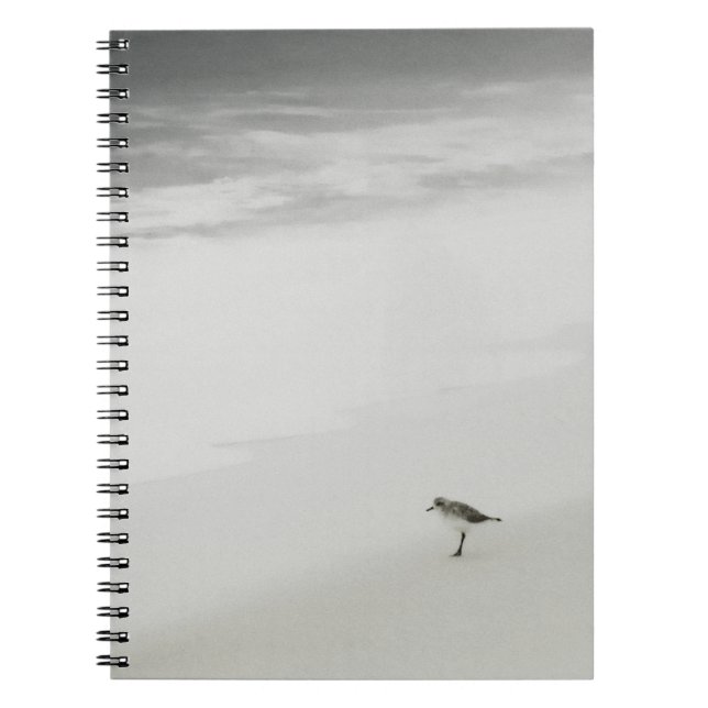 Cuaderno Sandpiper costero en la playa (Frente)