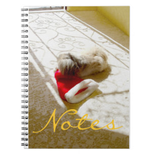 Cuaderno Santa Capturado