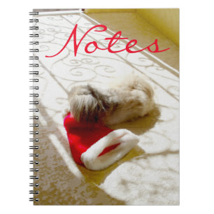 Cuaderno Santa Capturado