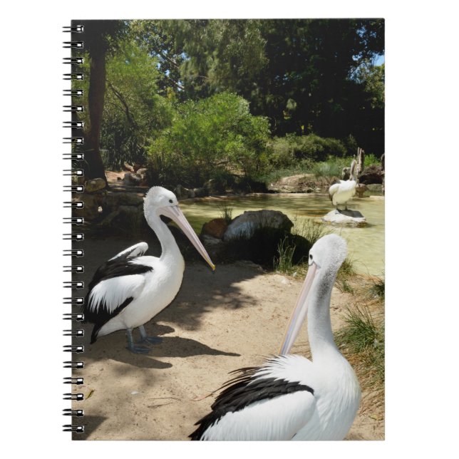 Cuaderno Santuario Pelican, bloc de notas (Frente)