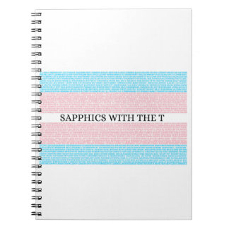 Cuaderno Sapphics con el portátil T 3.0