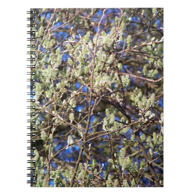CUADERNO SAUCE DE PRIMAVERA (Frente)