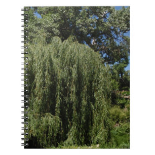 Cuaderno Sauce que llora