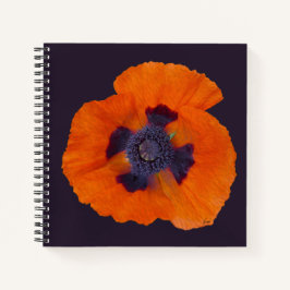 Cuaderno Scarlet Naranja Poppy 1