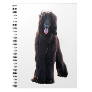 Cuaderno Schwarzer Afganistán