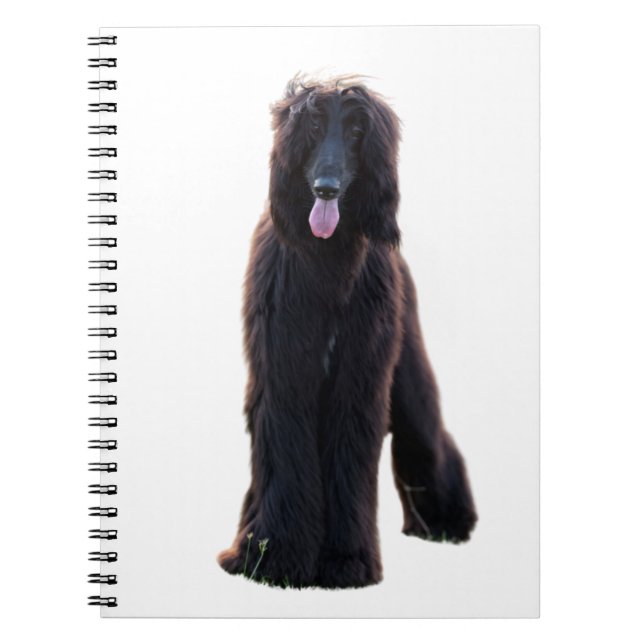 Cuaderno Schwarzer Afganistán (Frente)